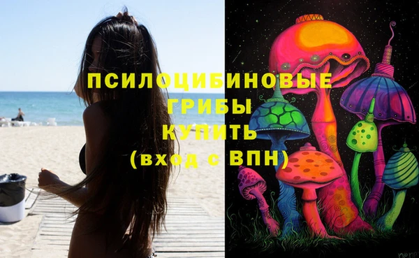 2c-b Алексеевка